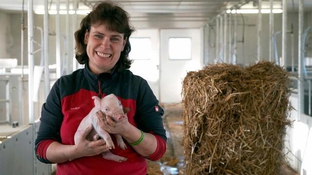 Die Tierkinder kommen