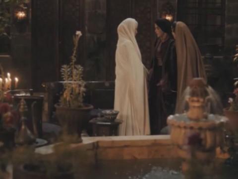 Episode 29