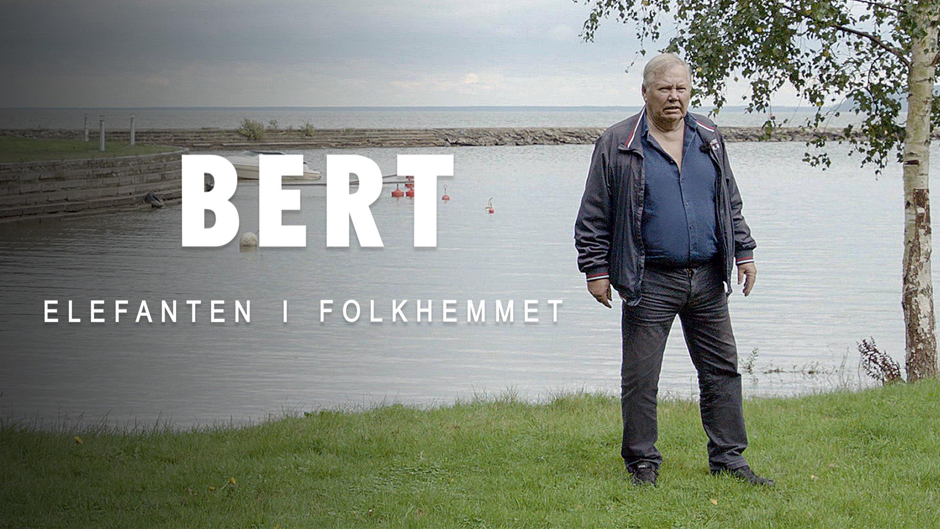 Bert Karlsson - elefanten i folkhemmet