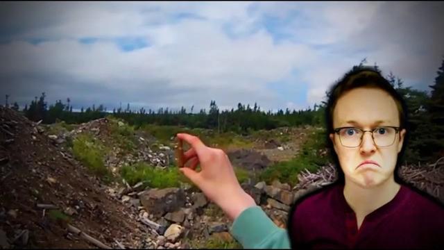 The Mystery of Chrisvids21