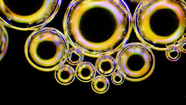 The Terrifying Viruses of the Microcosmos
