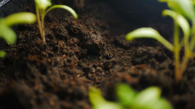 The Micro World Right Under Your Feet