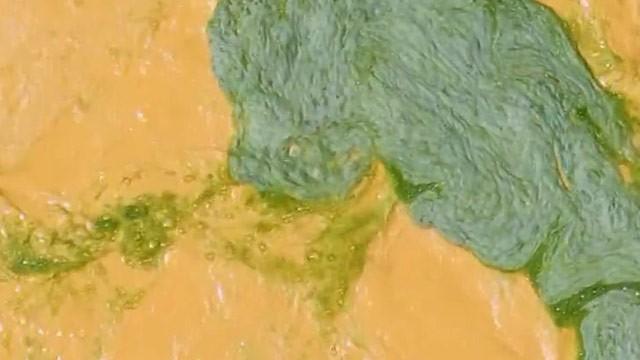 Microorganisms Are Cleaning the Water You Drink