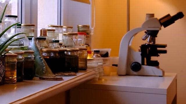 What Microscope Do We Use? (And Other Frequently Asked Questions)
