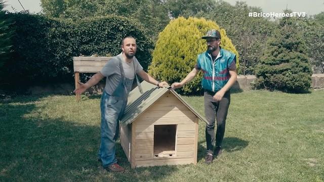Com construir una caseta de gos