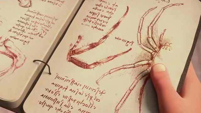 Leo und der Schlaf der Spinne