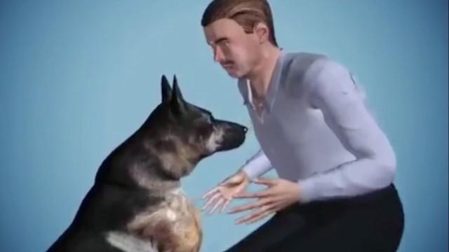 Pets