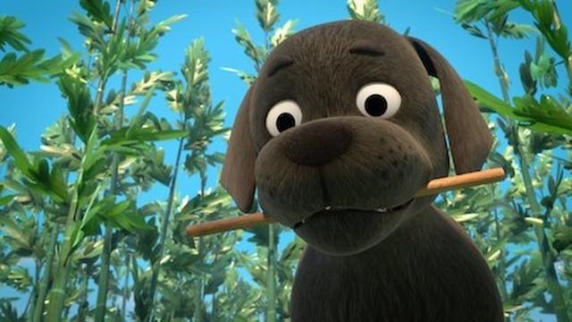 Le chien de Ninjaville