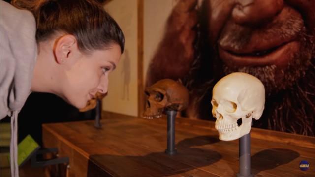 L'impact de Charles Darwin sur notre monde / Juste par curiosité