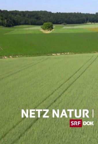 NETZ NATUR