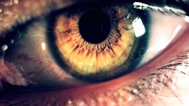 Eye and Sight - العين والبصر