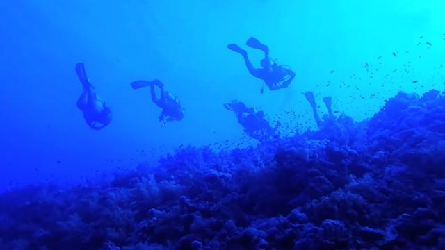 Darkness of Seas - ظلمات البحار