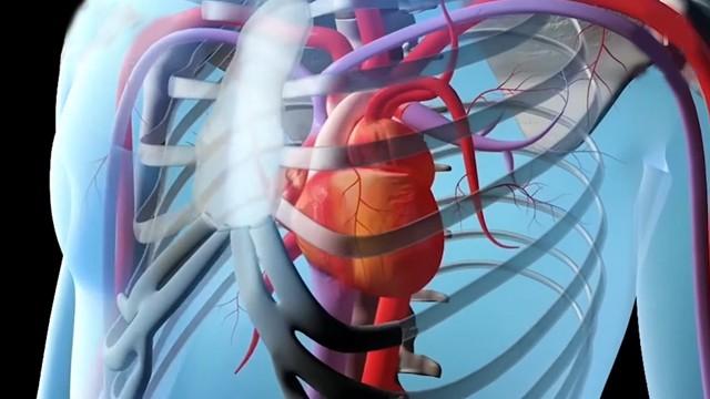 2 Billion Heart Beats - ٢ مليار نبضة لقلبك