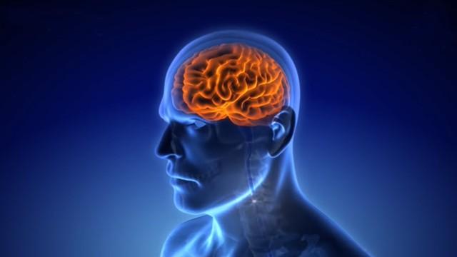 Front of the Head & Lying - مقدمة الرأس والكذب