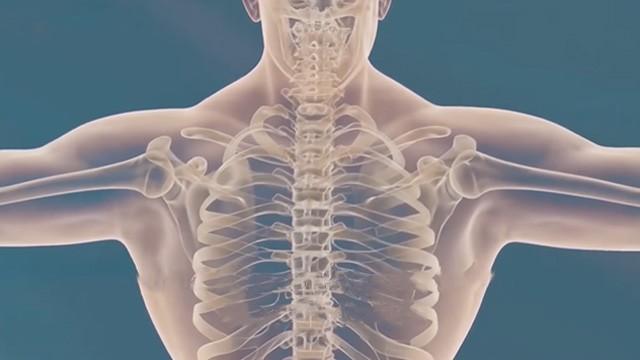 Boneless Life - حياة بدون عظام