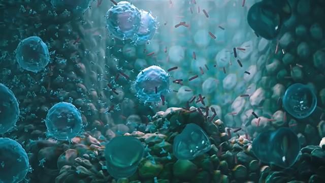 Armies in our Bodies - جيوش في أجسامنا