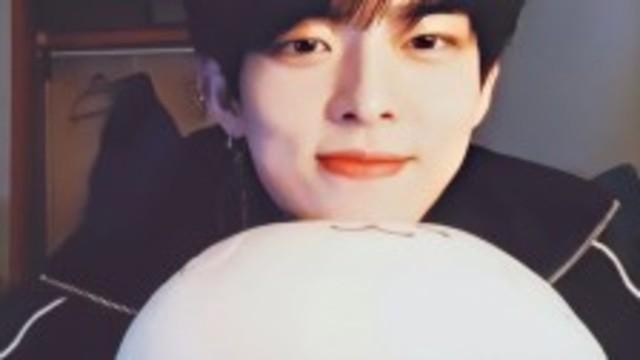 Good Night ALICE ????????