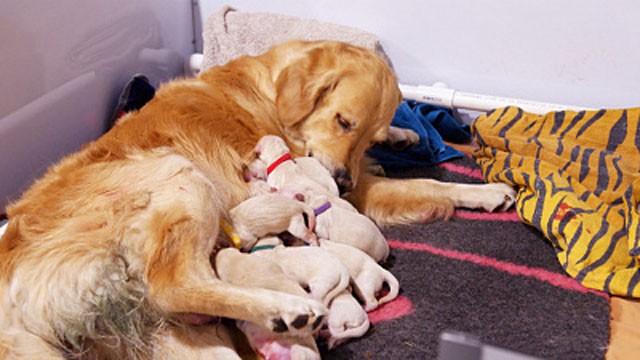 Welcome to the World