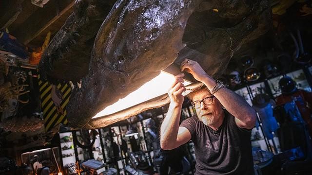 Dinosaur Skull Lamp!