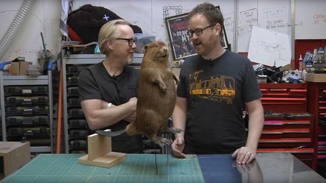 Traveling Beaver Box