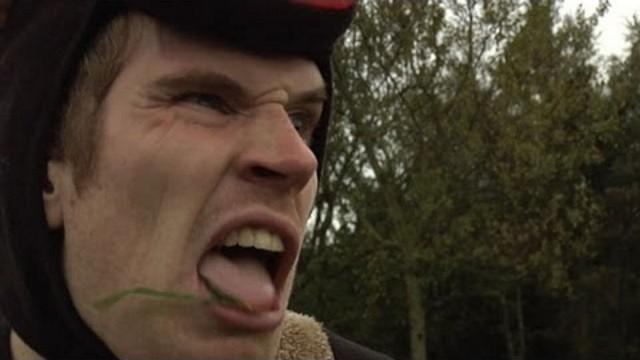 Losgeslagen stier