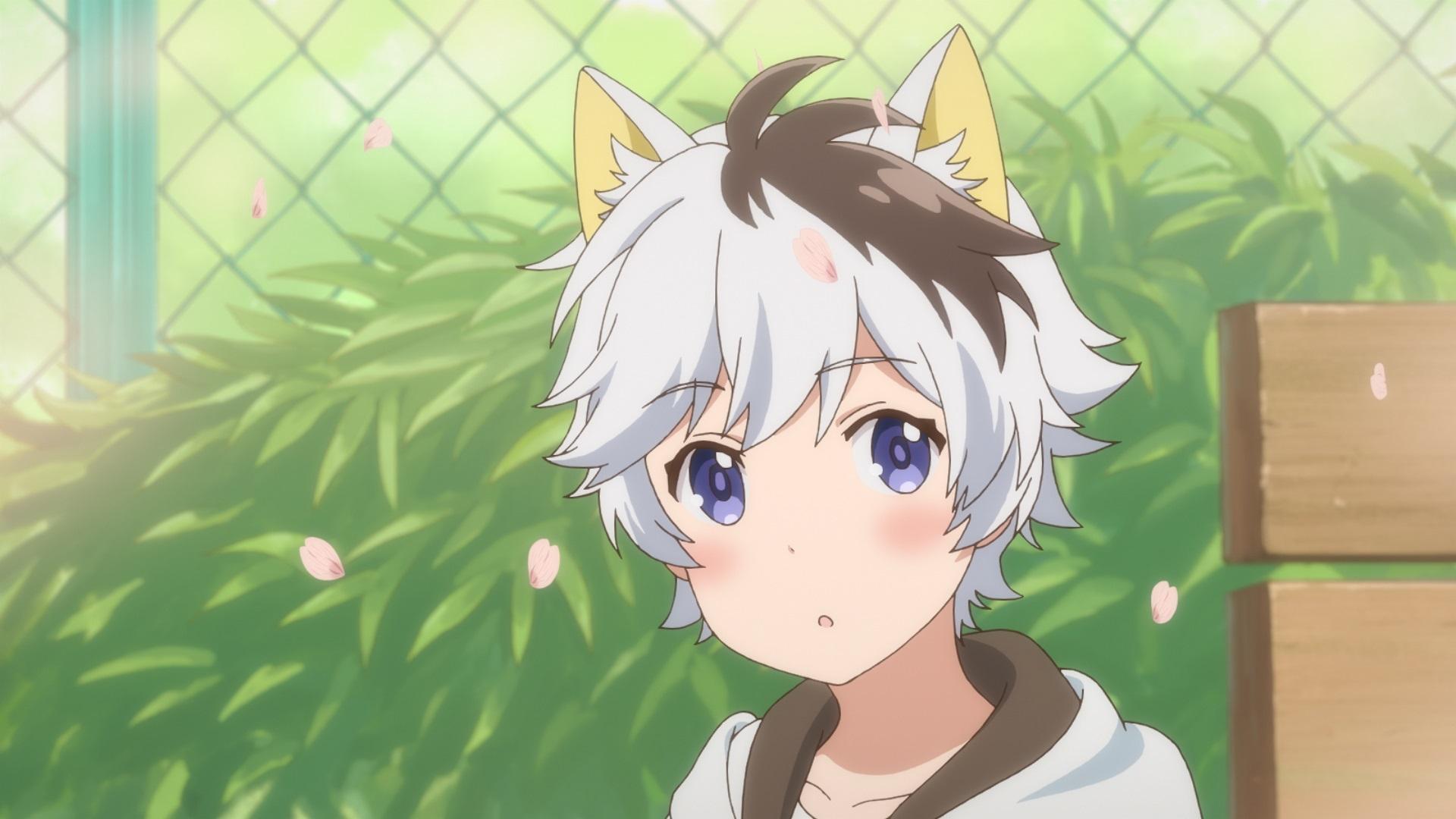 Uchitama?! Have you seen my Tama?