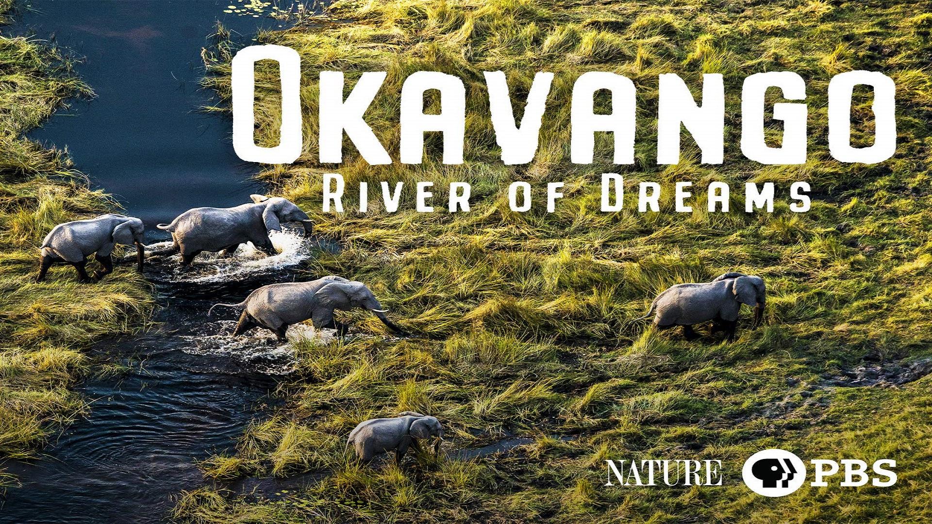 Okawango - Fluss der Träume