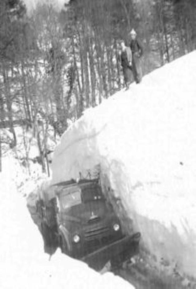 Winterwatch 1963 The Big Freeze