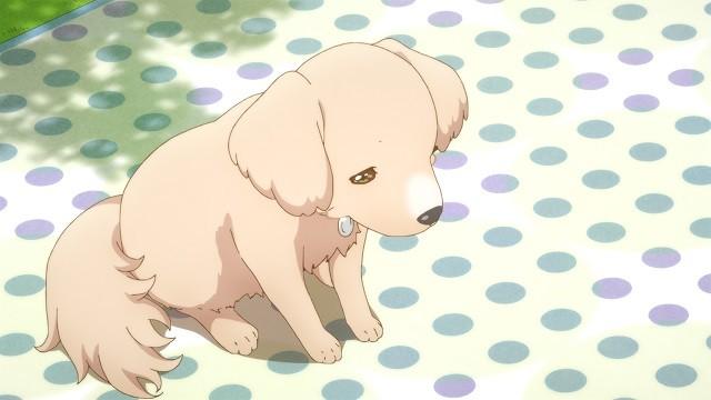 Kyu-chan's Melancholy