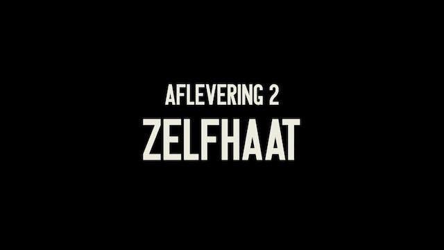 Zelfhaat