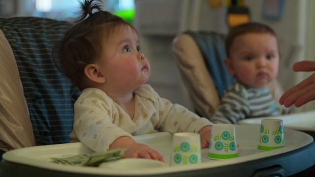 What Babies Know