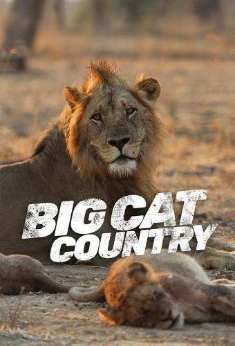 Big Cat Country