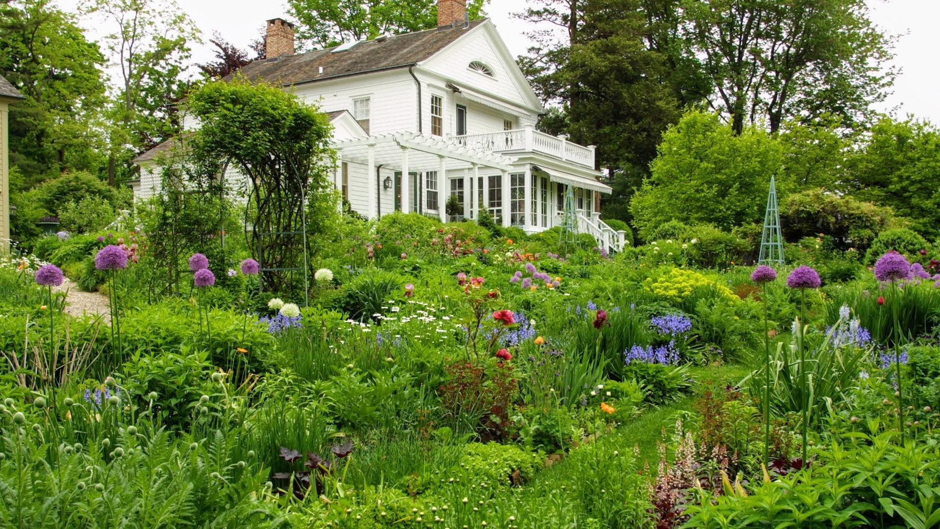 Martha Stewart Living