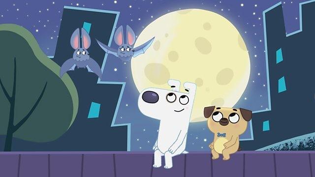 Dog Loves Night
