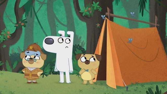 Dog Loves Camping