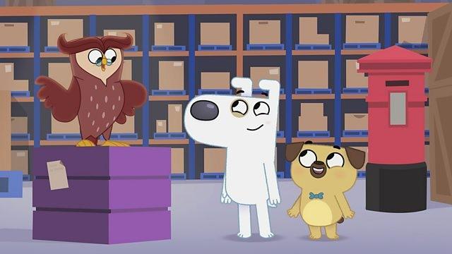 Dog Loves Amazing Facts​