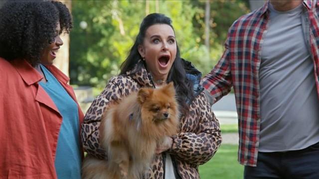 Kyle Richards: Real Housedogs of Beverly Hills