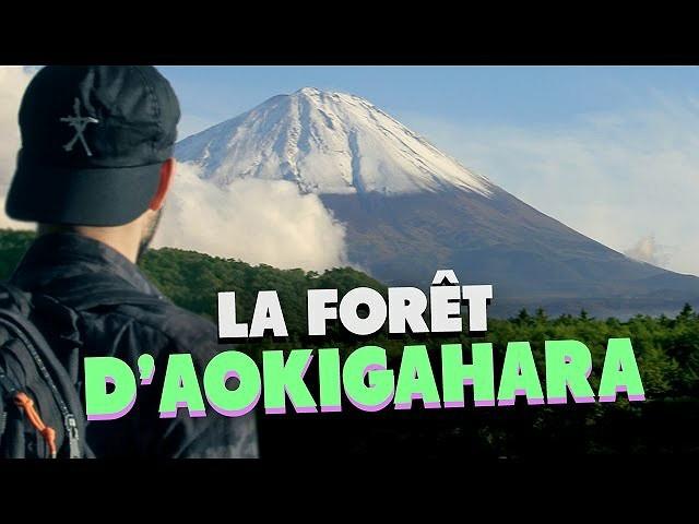 Les étranges expériences : La forêt d'Aokigahara (suicide forest)