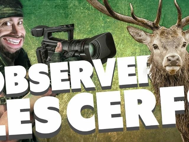 OBSERVER LES CERFS (LES ETRANGES EXPERIENCES)