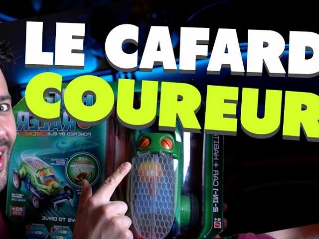 LE CAFARD COUREUR