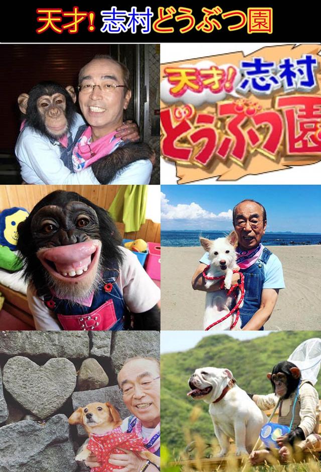 Tensai! Shimura Dōbutsuen