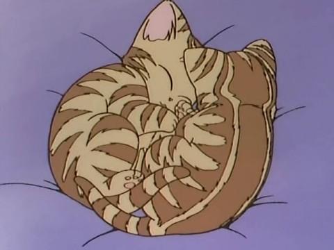 The Kittens, I'll Gladly Take Them