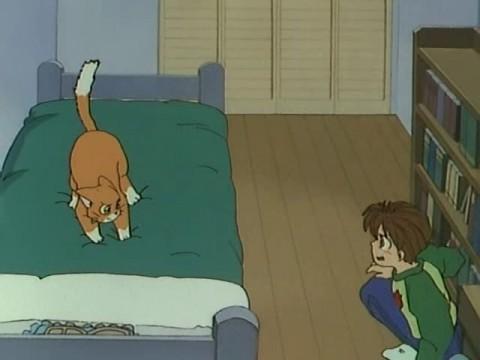 Our Grandma Hates Cats!