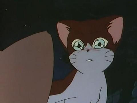 Tears! Heartbreaking Stray Cat Blues