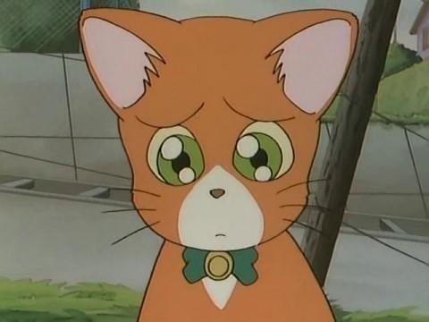 Would a Cat Eat a Domestic Quarrel?
