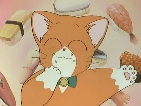 House Watching: Even a Cat's Paws Would Help
