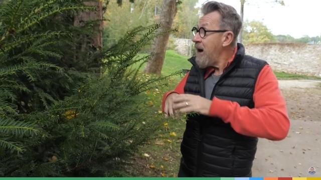 Pourquoi les feuilles changent de couleur puis tombent à l'automne !?