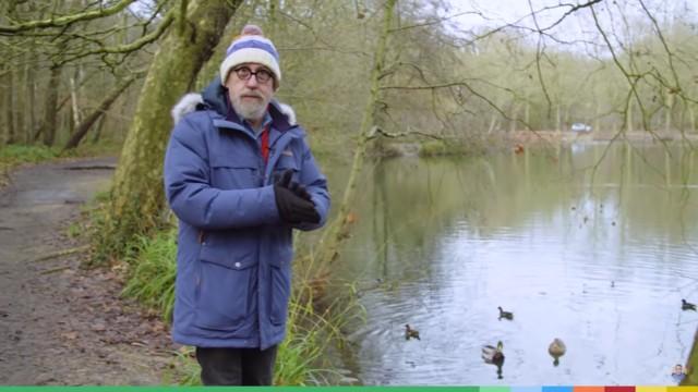Pourquoi les canards n'ont jamais froid !?