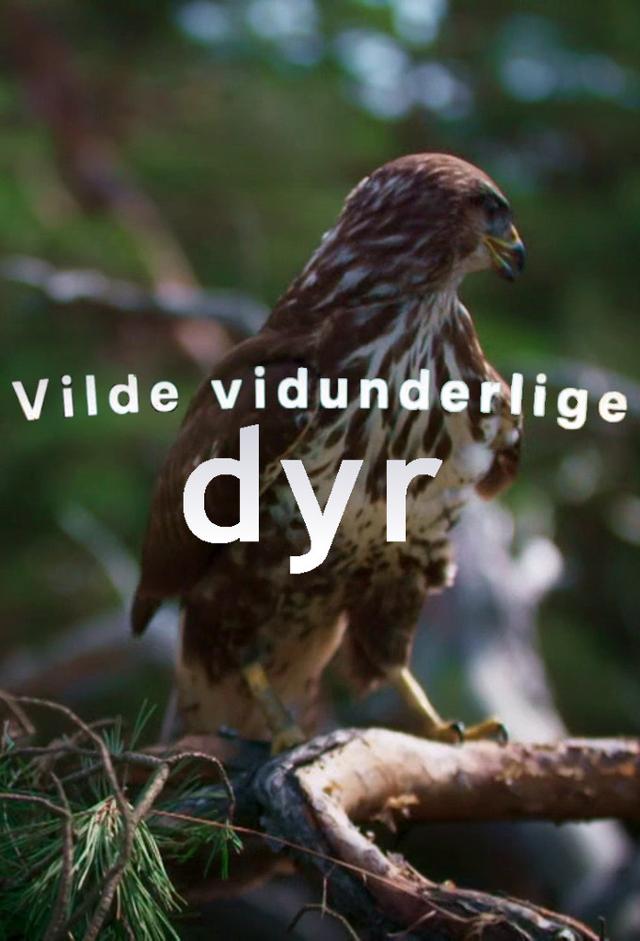 Vilde vidunderlige dyr