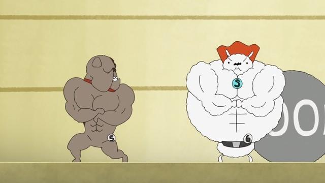 Muscles! Muscles! Muscles!